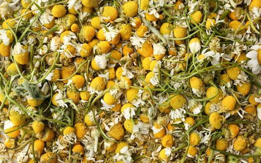 Chamomile Flowers Organic